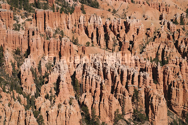 Bryce Canyon National Park. Eroderede sandstensformationer, hoodoos, i Bryce Amphitheater i Bryce Canyon National Park; ; Bryce Canyon National Park / Wyoming; USA; Nord Amerika; ; Bjerge, nationalparker, floder, sandsten, erosion