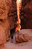   Bryce Canyon National Park / Wyoming USA North america  
