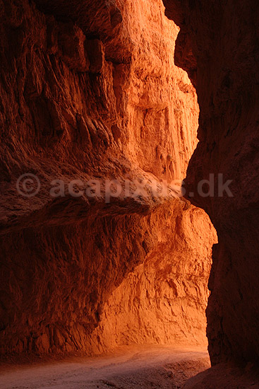 Bryce Canyon National Park. En canyon imellem eroderede sandstensformationer, hoodoos, i Bryce Amphitheater i Bryce Canyon National Park; ; Bryce Canyon National Park / Wyoming; USA; Nord Amerika; ; Bjerge, nationalparker, floder, sandsten, erosion