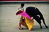 Tyref�gtning. Matadoren udf�rer en ver�nica capotazo med capa-en  Plaza de Toros Monumental / Barcelona Spanien Europa  