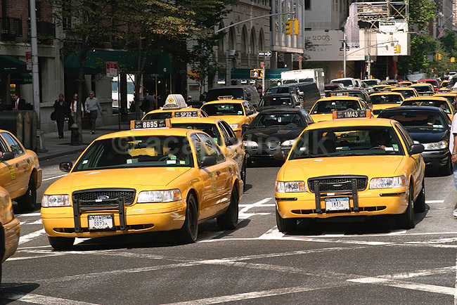 Cabs. Gule taxier (cabs) p� Park Avenue i New York; ; New York; USA; Nord Amerika; ; Taxaer, taxier, taxa, taxi, trafik, transport, kollektiv trafik, Manhattan