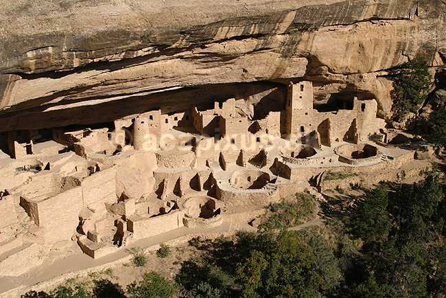 Cliff Palace. Cliff Palace i Mesa Verde National Park. En af Anasazi indianernes efterladte byer.; ; Mesa Verde National Park / Colorado; USA; Nord Amerika; ; Ancestral pueblo indianere, Ancestral puebloans