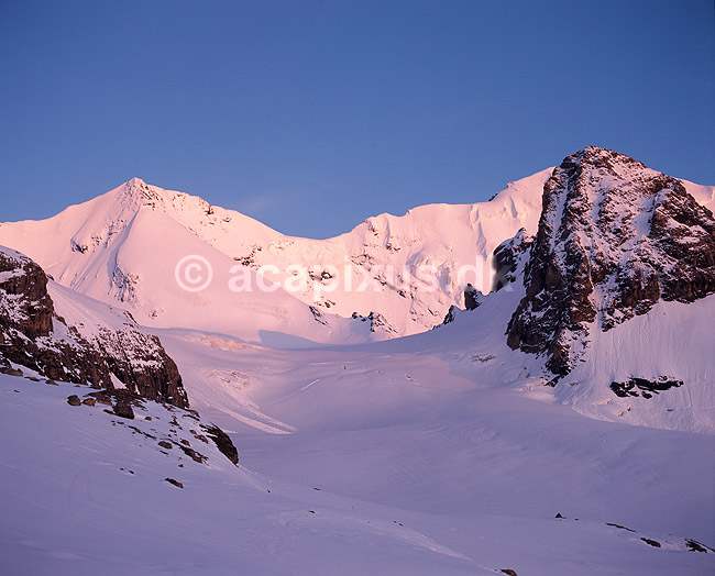 Bl�emlisalp. Wyssi Frau (tv, 3650) og Bl�mlisalphorn (th, 3590 m) i Bl�emlisalp ryggen; ; Kandersteg; Schweiz; Europa; ; 
