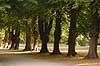   S�ndermarken / Frederiksberg Denmark   