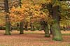   S�ndermarken / Frederiksberg Denmark   