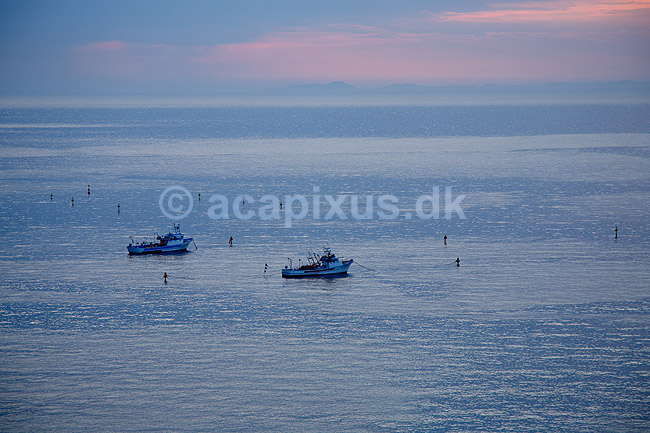 Fiskerb�de. Fiskerb�de i solnedgang ligger fort�jet ud for Sorrento i Italien; ; Sorrento; Italien; Europa; ; fiskeri, havfiskeri, solnedgange