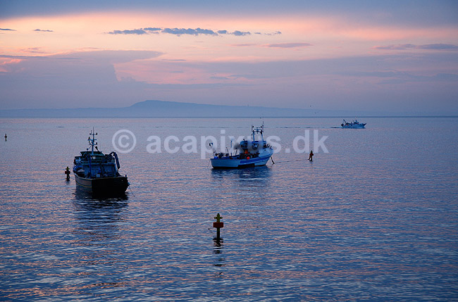 Fiskerb�de. Fiskerb�de i solnedgang ligger fort�jet ud for Sorrento i Italien; ; Sorrento; Italien; Europa; ; fiskeri, havfiskeri, solnedgange