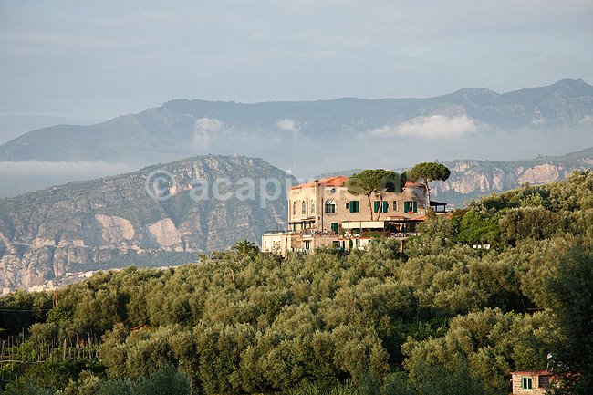 Villa. Villa p� Sorrento-halv�en; ; Sorrento; Italien; Europa; ; Landskaber