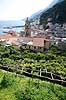 Amalfi. Udsigt over citronlund ved Amalfi med katedralen i baggrunden  Amalfi / Sorrento halv�en Italien Europa  Kirker, citroner