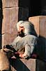 Kappebavian. Kappe bavian ( Scan af KOL7155 )  Papio hamadryas, Cercopithecidae K�benhavn ZOO   pattedyr Primater, Marekatte, bavianer