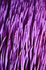 Artiskok. Artiskok - closeup af blomst ( Scan af KOL7306 )  Cynara scolymus KVL's Have / K�benhavn   Planter R�rhannede, Asteranae, Kurveblomst-familien, Asteraceae, Compositae