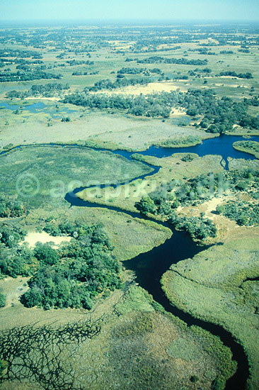 Okavango. Okavango deltaet i Kalahari �rkenen ( Scan af KOL3512 ) ; ; Okavango delta; Botswana; Afrika; ; Floddelta, floddeltaer