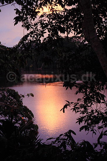 Solnedgang i regnskov. Regnskov i Amazonas - Solnedgang ved Lago Garzacoca ( Scan af KOL4945 ) ; ; Yasuni NP / Amazonas; Equador; Afrika; ; Solnedgange, jungle