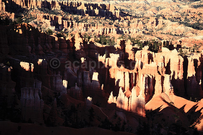 Bryce Amphitheater. Bryce Amphitheater set fra Sunrise Point - Bryce Canyon National Park ( Scan af KOL394 ) ; ; Bryce / Utah; USA; Nordamerika; ; Erosion, sandsten