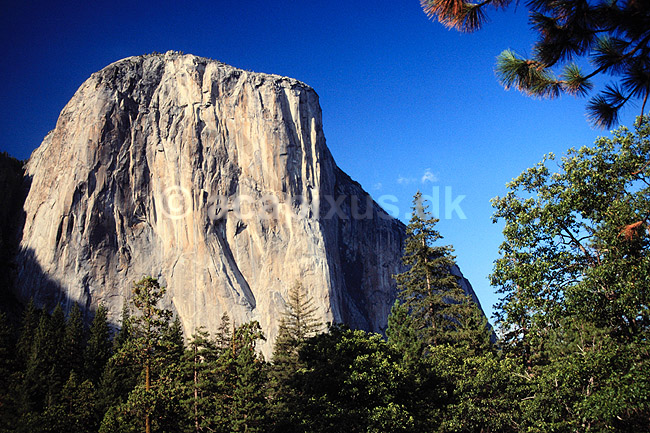 El Capitan. El Capitan ( Scan af KOL427 ) ; ; Yosemite National Park / Californien; USA; Nordamerika; ; Bjerge
