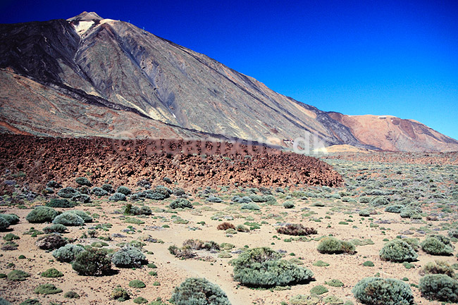 Teide. Lomo de los Cosetes og Teide Mt Teide, 3718m, Tenerife ( Scan af KOL869 ) ; ; Teide / Tenerife; Spanien; Asien; ; Bjerge, vulkaner, vulkan