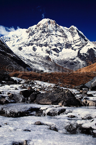 Annapurna South. Annapurna South (7219 m) set fra Annapurna Base Camp ( Scan af KOL1227 ) ; ; Annapurna Base Camp / Himalaya bjergene; Nepal; Asien; ; Bjerge, sne