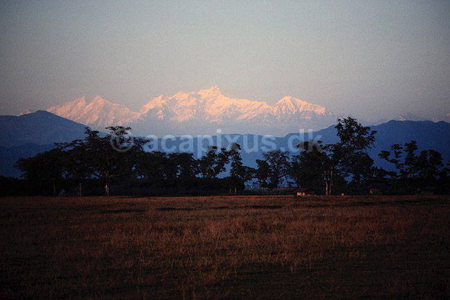 Himalaya bjergene. Himalaya bjergk�den set fra Chitwan National Park ( Scan af KOL1183 ) ; ; Chitwan NP; Nepal; Asien; ; Bjerge, sne
