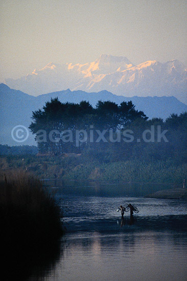 Himalaya bjergene. Himalaya bjergene set fra Chitwan NP - M�nd krydser Rapti floden med cykel ( Scan af KOL3754 ) ; ; Chitwan NP; Nepal; Asien; ; Bjerge, sne, floder