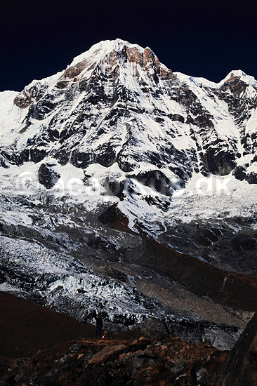 Annapurna South. Annapurna South (7219 m) set fra Annapurna Base Camp ( Scan af KOL1234 ) ; ; Annapurna Base Camp / Himalaya bjergene; Nepal; Asien; ; Bjerge, sne