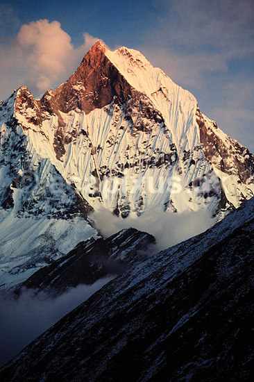 Machhapuchhre. Machhapuchhre (Fish Tail) (6993 m) set fra Annapurna Base Camp ( Scan af KOL1214 ) ; ; Annapurna Base Camp / Himalaya bjergene; Nepal; Asien; ; Bjerge, sne