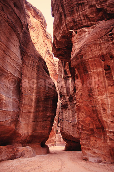 as Siq Slugten ved Petra. as Siq Slugten der f�rer ind til Petra ( Scan af KOL5326 ) ; ; Petra; Jordan; Asien; ; Erosion, sandsten
