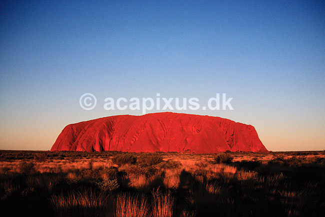 Ayers Rock. Ayers Rock set fra nordvest, kort f�r solnedgang. Uluru = Ayers Rock, Kata Tjuta = The Olgas ( Scan af KOL2758 ) ; ; Uluru - Kata Tjuta NP / Northern Territory; Australien; Australien; ; Geologi, erosion, solnedgange