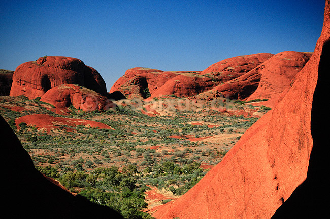 The Olgas. The Olgas Detaille fra Valley of the Winds. Uluru = Ayers Rock, Kata Tjuta = The Olgas ( Scan af KOL2808 ) ; ; Uluru - Kata Tjuta NP / Northern Territory; Australien; Australien; ; Geologi, erosion