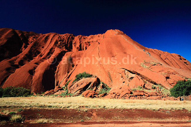 Ayers Rock. Ayers Rock ( Scan af KOL6529 ) ; ; Uluru - Kata Tjuta NP / Northern Territory; Australien; Australien; ; Geologi, erosion