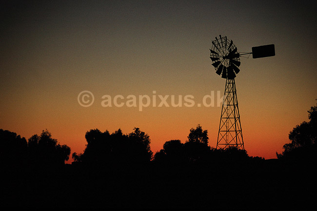 Vindm�lle i solnedgang. Vindm�lle i solnedgang ved Erlunda n�r Ayers Rock, Australien ( Scan af KOL2833 ) ; ; Northern Territory; Australien; Australien; ; Energi, CO2, kuldioxid, drivhuseffekt, alternativ energi, vindm�ller