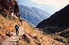 Inca Trail. Trekker p� Inca Trail i Andes Bjergene, Peru ( Scan af KOL2053 )   Inca Trail / Cuzco Peru Sydamerika  Trek, trekking, bjergvandring, bjergvandrere