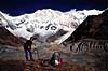 Annapurna Sanctuary. Trekker i Annapurna Sanctuary i 4000 meters h�jde, Nepal ( Scan af KOL1468 )   Himalaya bjergene Nepal Asien  Trek, trekking, bjergvandring, bjergvandrere