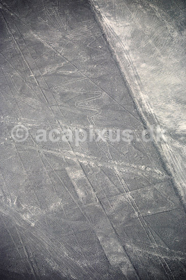 Nazca linier. Nazca linier - Alcatraz, ca 285 meter - Preinca figurer i �rken, funktion endnu diskutabel. Dannet ved at m�rke sten p� overfladen er flyttet til siden. ( Scan af KOL1866 ) ; ; Nazca; Peru; Sydamerika; ; Nazcalinerne, luftfoto