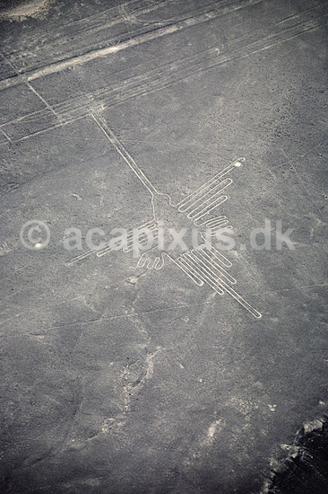Nazca linier. Nazca linier - Kollibri, ca 80 meter - Preinca figurer i �rken, funktion endnu diskutabel. Dannet ved at m�rke sten p� overfladen er flyttet til siden. ( Scan af KOL1864 ) ; ; Nazca; Peru; Sydamerika; ; Nazcalinerne, luftfoto
