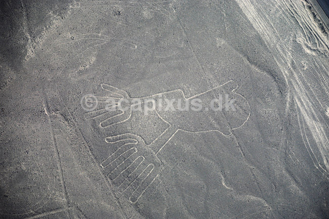 Nazca linier. Nazca linier - H�nder, ca 50 meter - Preinca figurer i �rken, funktion endnu diskutabel. Dannet ved at m�rke sten p� overfladen er flyttet til siden. ( Scan af KOL1861 ) ; ; Nazca; Peru; Sydamerika; ; Nazcalinerne, luftfoto