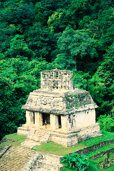 Palenque. Maya ruiner i Palenque - Templo del Sol ( Scan af KOL6857 ) ; ; Palenque / Chiapas; Mexico; Nordamerika; ; Mayaerne
