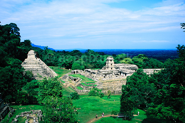 Palenque. Maya ruiner i Palenque - Bla. Templo de Los Inscriptiones og El Palacio ( Scan af KOL6856 ) ; ; Palenque / Chiapas; Mexico; Nordamerika; ; Mayaerne