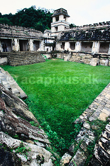 Palenque. Palenque - Maya ruiner Den indre g�rd i El Palacio ( Scan af KOL6741 ) ; ; Palenque / Chiapas; Mexico; Nordamerika; ; Mayaerne