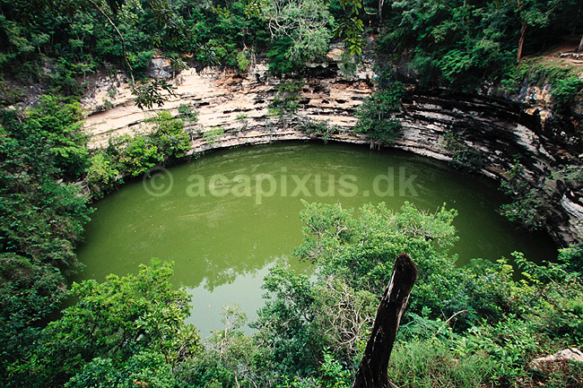 Cenote Sagrado. Chich�n Itz� - Maya ruiner Den hellige Cenote anvendt til menneske ofringer ( Scan af KOL6809 ) ; ; Chich�n Itz� / Yucat�n; Mexico; Nordamerika; ; Mayaer