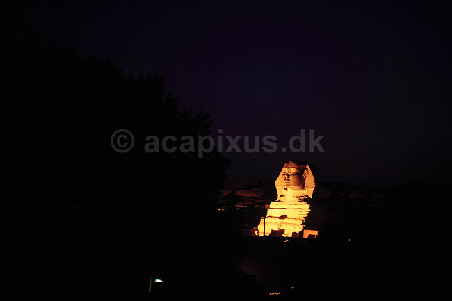 Sphinx. Sphinxen i nattebelysning ( Scan af KOL2422 ) ; ; Giza / Cairo; Egypten; Afrika; ; 