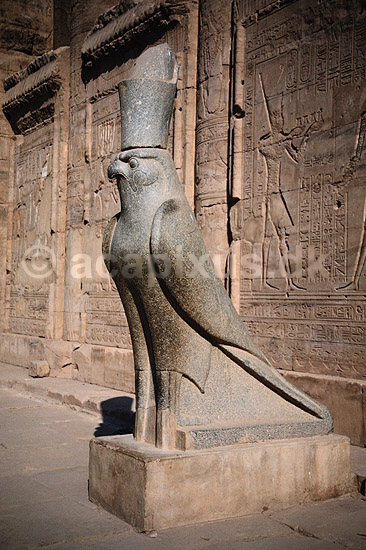 Horus. Horus Tempel - Statue af falkeguden Horus ( Scan af KOL2425 ) ; ; Edfu; Egypten; Afrika; ; Falkegud