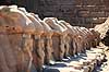 Karnak Tempel. Karnak Tempel - Sphinxer med v�dderhoved ( Scan af KOL7787 )   Luxor Egypten Afrika  