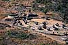 Great Zimbabwe. Great Zimbabwe, Karanga Village - Rekonstrueret landsby - Ordet Zimbabwe betyder stenhus p� shona. ( Scan af KOL3612 )   Great Zimbabwe / Masvingo Zimbabwe Afrika  Zimbabwe er opkaldt efter ruinerne
