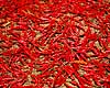 Chillipeber. Chilli peber lagt til t�rre p� torv ( Scan af KOL4226 ) Capsicum spec., Solanaceae Bhaktapur Nepal Asien planter Natskygge-familien, Solanaceae, krydderi, krydderier