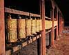 Bedem�ller. Bedem�ller - Samye klosteret ( Scan af KOL4345 )  Samye Tibet ( Kina ) Asien  budhisme, religion