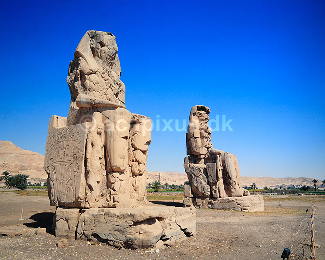 Colossi of Memnon. Memnos Kollosserne (Colossi of Memnon) Bygget af Pharaoh Amenhotep III ( Scan af KOL7697 ); ; Luxor; Egypten; Afrika; ; pharaoer, colossus