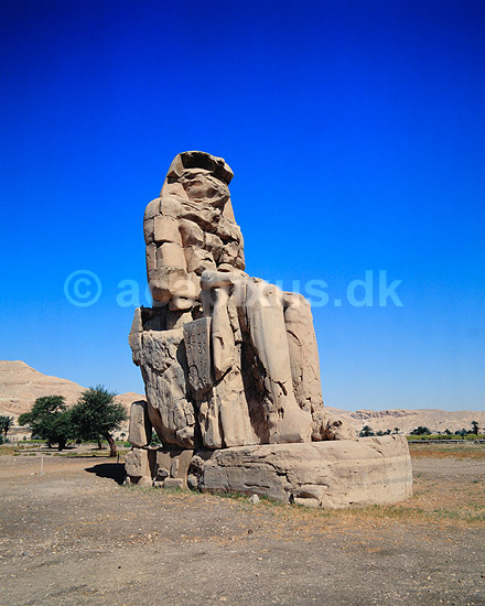 Colossi of Memnon. Memnos Kollosserne (Colossi of Memnon) Bygget af Pharaoh Amenhotep III ( Scan af KOL7698 ); ; Luxor; Egypten; Afrika; ; pharaoer, colossus