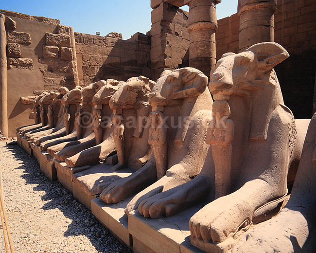 Karnak Tempel. Karnak Tempel - Sphinxer med v�dderhoved ( Scan af KOL7665 ); ; Luxor; Egypten; Afrika; ; 