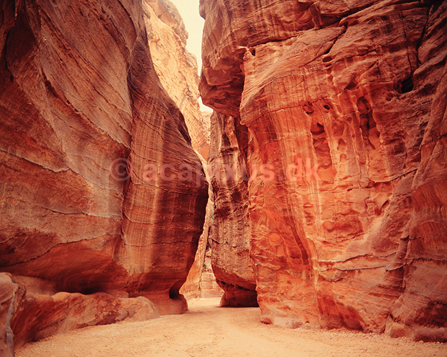 as Siq Slugten. as Siq Slugten der f�rer ind til ruinbyen Petra ( Scan af KOL5392 ); ; Petra; Jordan; Asien; ; Nabataeans, Nabataean konged�mme