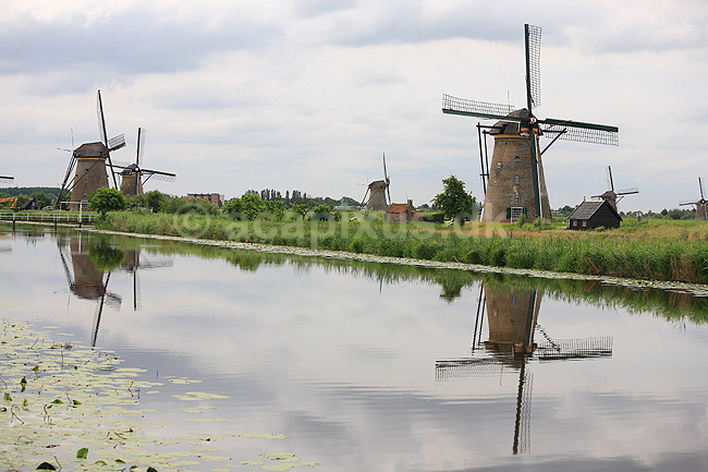 Kinderdijk vindm�ller. Vindm�ller ved Kinderdijk brugt til at pumpe vand - p� UNESCO World Heritage listen; ; Kinderdijk / Nieuw-Lekkerland / Rotterdam; Holland; ; ; turistsev�rdigheder, turisme, afvanding, diger, vindm�lle, vindkraft, oversv�mning, landvinding